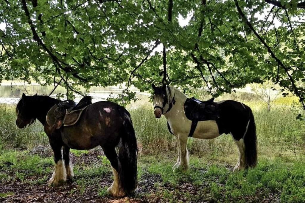 Les Vergers d'Epona Fremifontaine Exterior foto
