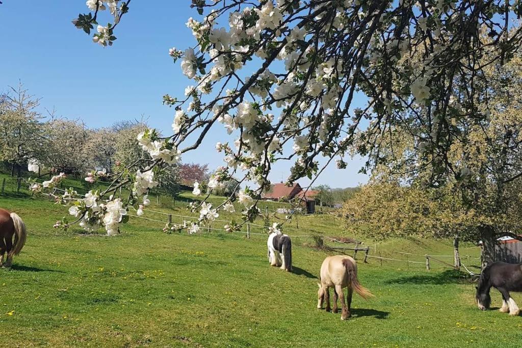 Les Vergers d'Epona Fremifontaine Exterior foto